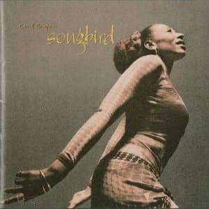 Songbird