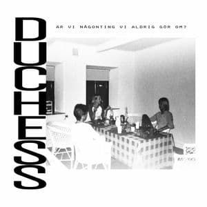 Är vi någonting vi aldrig gör om?