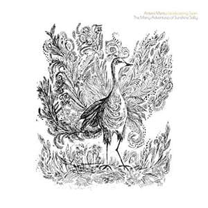 The Many Adventures of Sunshine Sally