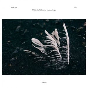 Within the Violence of Fractured Light