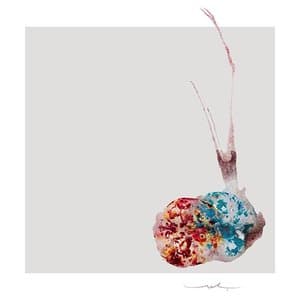 The Constant Fear of Being Judged (by you)