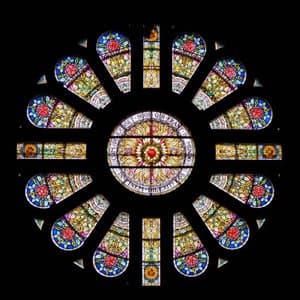 Pomegranates (2017-2024)