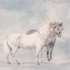 Every Dumb Thing I Ever Did