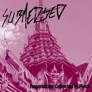 Reparations Collected In Flesh