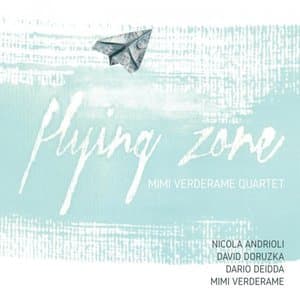 Flying Zone