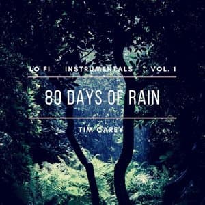 80 Days of Rain