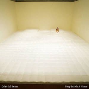 Sleep Inside a Horse