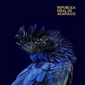 Republica Ideal de Acapulco