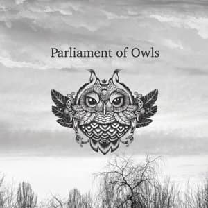 Parliament of Owls