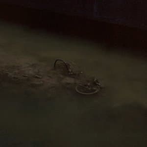 Score to a Short Film