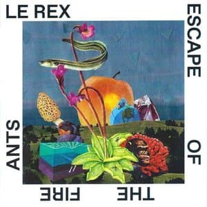 Escape of The Fire Ants