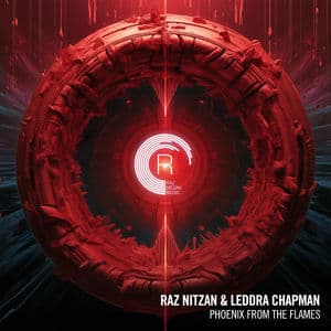 Phoenix From The Flames