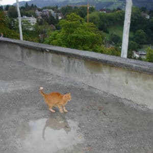 even good things change