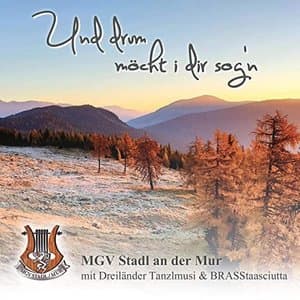 Und drum mocht i dir sogn