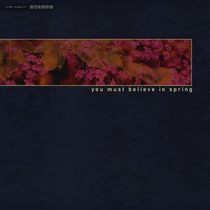 You Must Believe In Spring