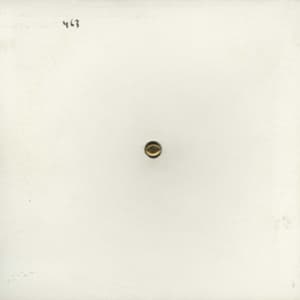 Mort Aux Vaches (CD1)