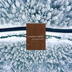 Ambient Library (Introspection04)