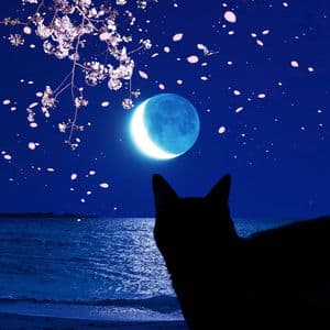 Mabushikute Mienai / Freedom Freedom Paradise Lost