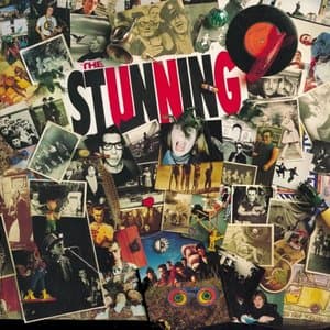 Paradise in the Picturehouse