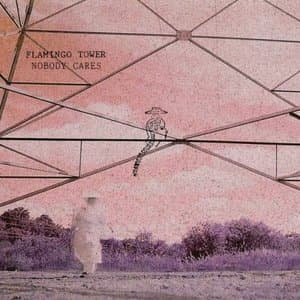 Flamingo Tower, Nobody Cares EP