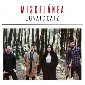 Miscelanea