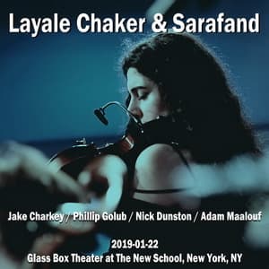 2019-01-22, Glass Box Theater at The New School, New York, NY
