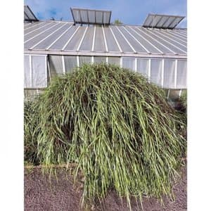 Bass Works- as I Venture Into