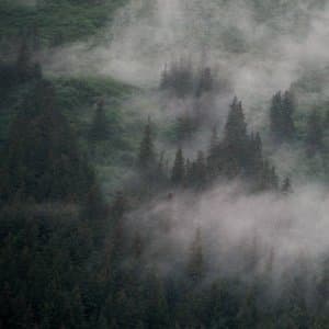 Young Spirit | Nadir, Unfurled