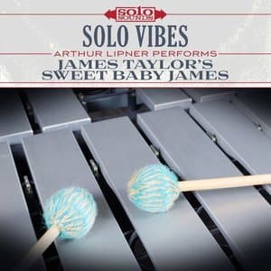 James Taylors Sweet Baby James: Solo Vibes