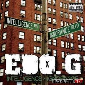 Intelligence & Ignorance