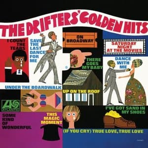 The Drifters Golden Hits (Mono)
