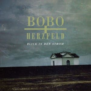Blick in den Strom (feat. Yegor Zabelov)