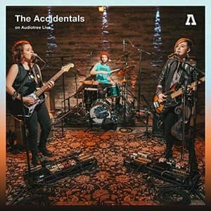 The Accidentals on Audiotree Live