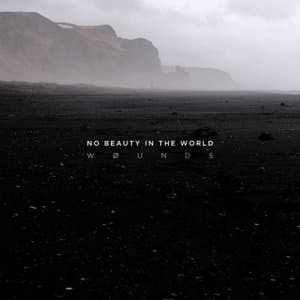 No Beauty in the World