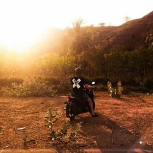 A Collection of Xinobi Dance Songs