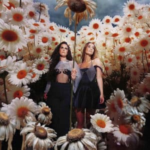 The Death Of Daisies