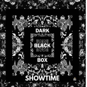Dark Black Box