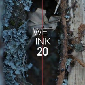 Wet Ink: 20
