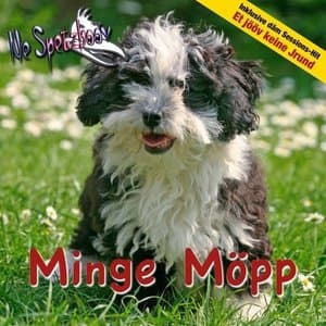 Minge Mopp (Inklusive DaM Sessions-Hit et JooV Keine Jrund)