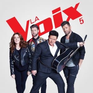 La Voix 5