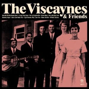 The Viscaynes & Friends