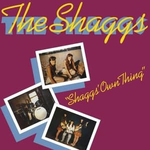 Shaggs Own Thing