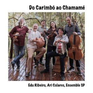 Do Carimbo Ao Chamame