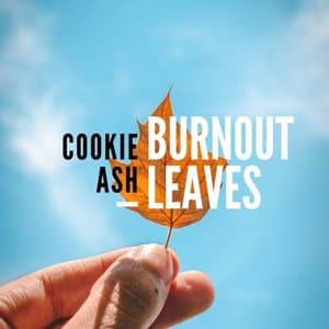 Burnout Leaves