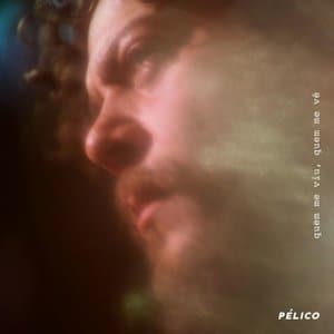 Quem Me Viu, Quem Me Ve