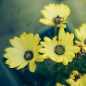 We Met In Montreal (2018)