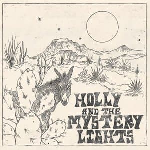 Holly and the Mystery Lights