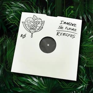 Imagine The Future (Remixes)