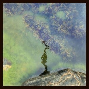 7 Modes For A Revolution