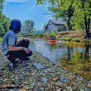 Unidentified Walking Objects